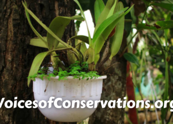 VoicesofConservations.org