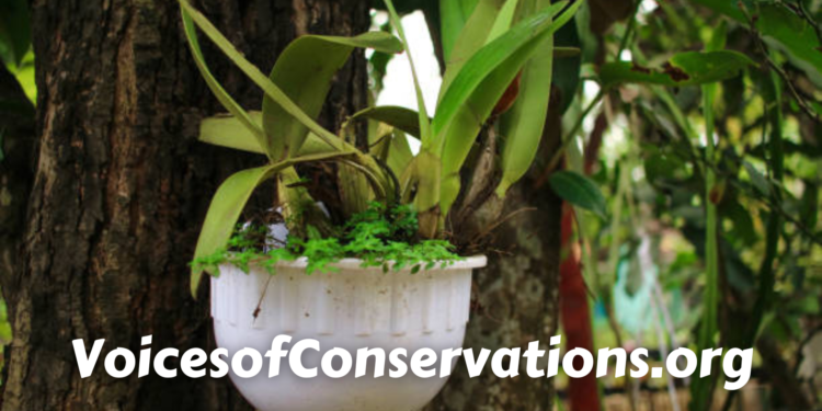 VoicesofConservations.org