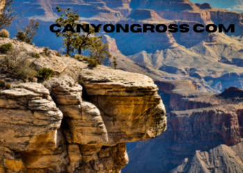 canyongross com