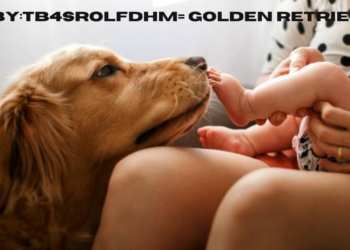 baby:tb4srolfdhm= golden retriever