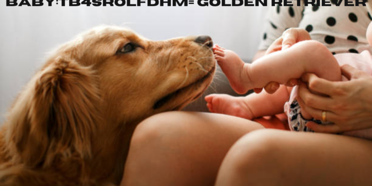 baby:tb4srolfdhm= golden retriever