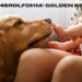 baby:tb4srolfdhm= golden retriever