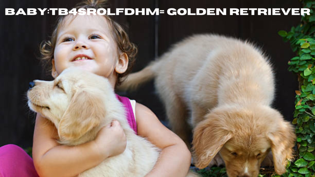 baby:tb4srolfdhm= golden retriever